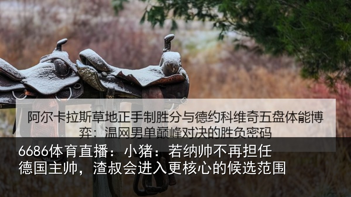 6686体育直播：小猪：若纳帅不再担任德国主帅，渣叔会进入更核心的候选范围