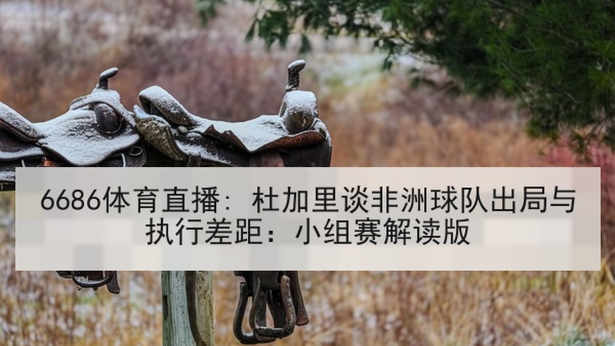 6686体育直播: 杜加里谈非洲球队出局与执行差距：小组赛解读版