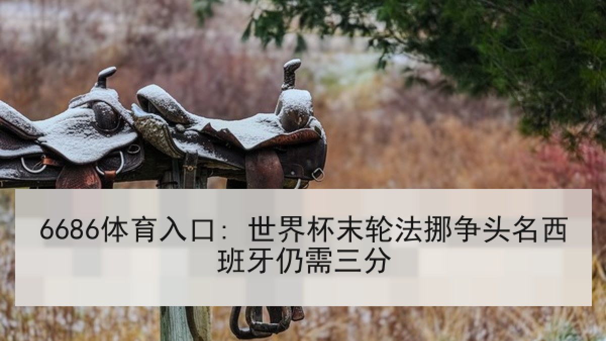 6686体育入口: 世界杯末轮法挪争头名西班牙仍需三分 6686体育入口: 世界杯末轮法挪争头名西班牙仍需三分